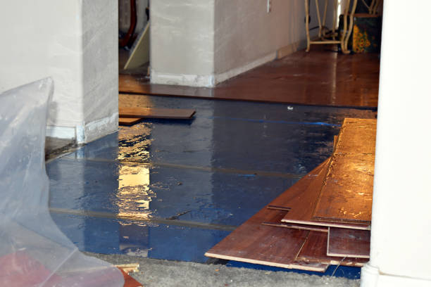 Professional Basement Flood Cleanup technician working in Independence, WI